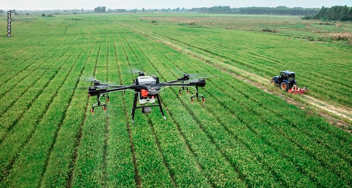 Especialista comenta sobre perspectivas e desafios para a produção agrícola brasileira em 2024