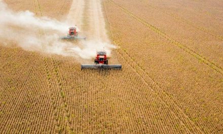 BASF leva ao Show Rural Coopavel 2024 oferta conectada de soluções para agricultura