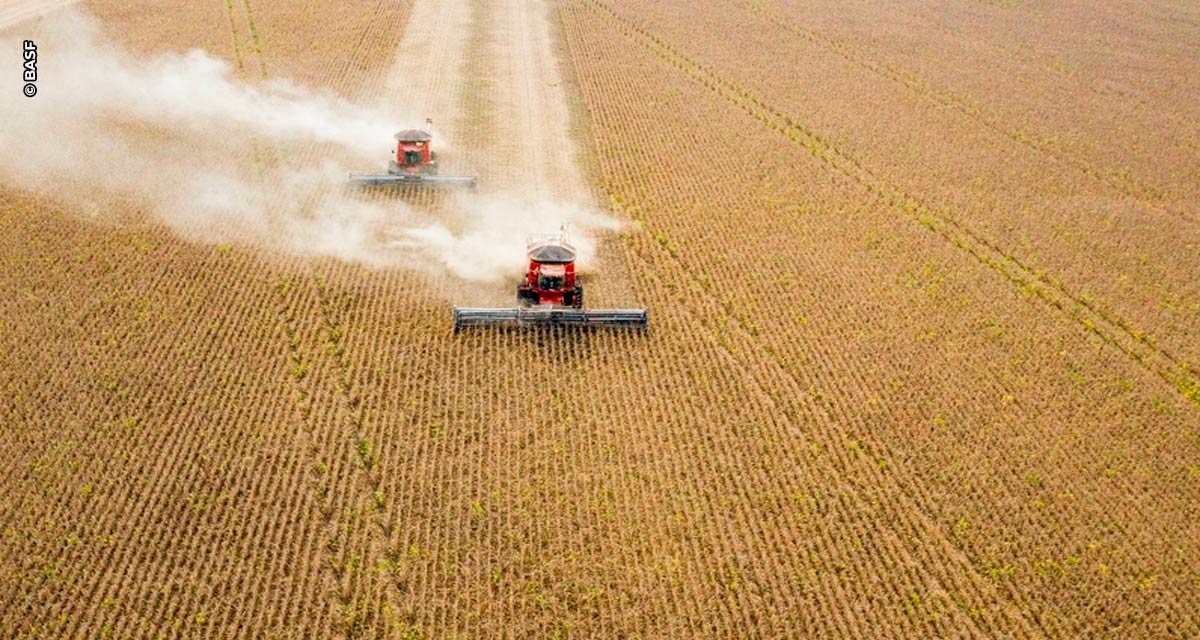 BASF leva ao Show Rural Coopavel 2024 oferta conectada de soluções para agricultura