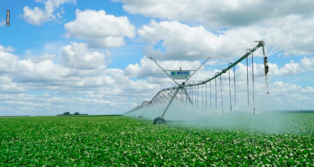 Irrigação em expansão: seis estados concentram quase 100% dos pivôs do Brasil