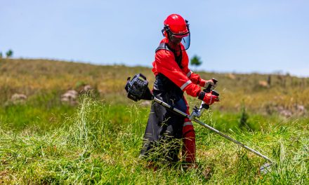 Branco Motores lança roçadeiras de alta performance para uso profissional