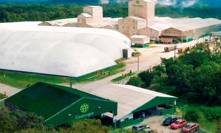 Coonagro investe em novo sistema de gestão para crescimento sustentável