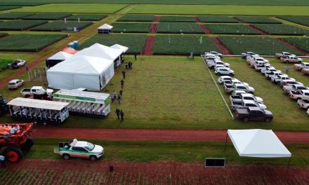 Fundação MT inicia dias de campo com novo formato e foco em soluções para cultivo e manejo da soja