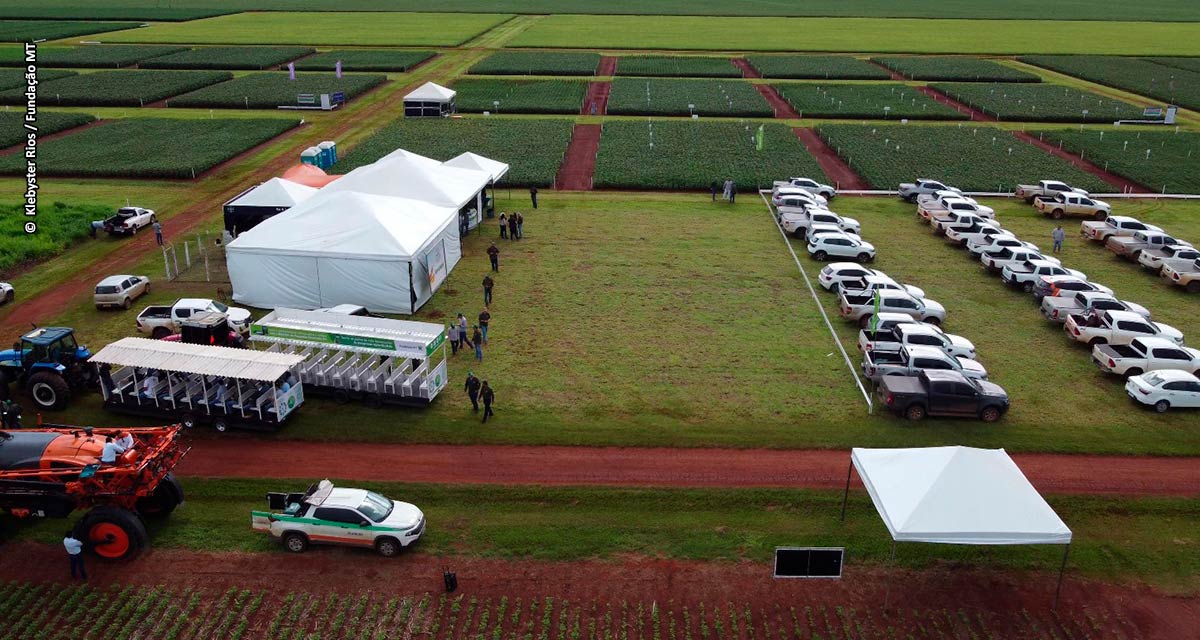 Fundação MT inicia dias de campo com novo formato e foco em soluções para cultivo e manejo da soja