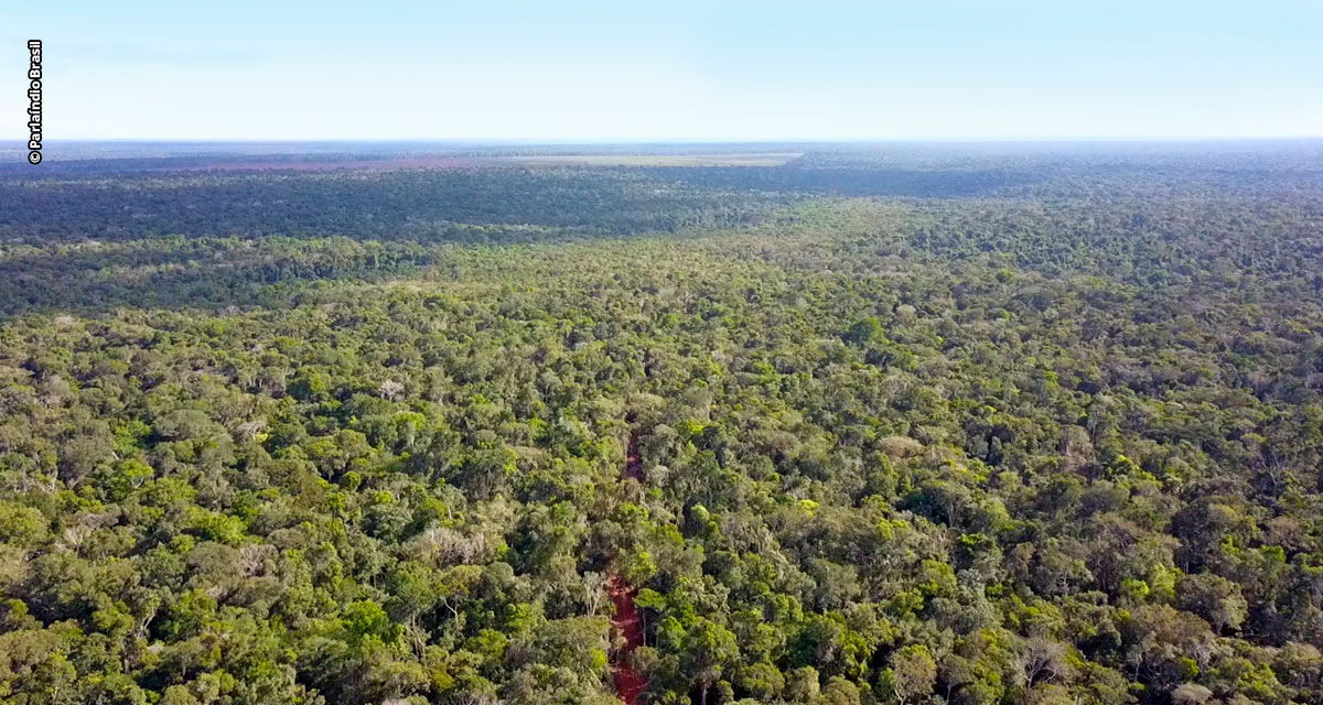 Projeto “SEMEANDO FLORESTAS EM TERRAS INDÍGENAS” é apresentado à ministra do meio ambiente