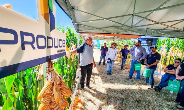 Evento em Dourados vai mostrar como empreender no agro através da venda direta