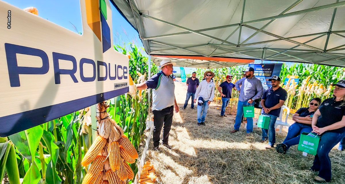 Evento em Dourados vai mostrar como empreender no agro através da venda direta
