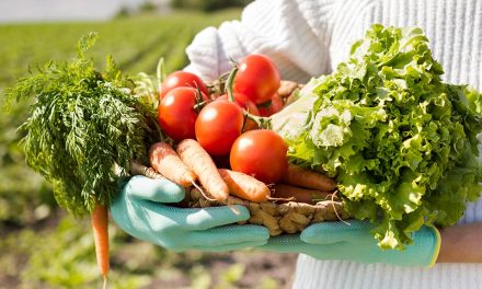 Apesar de ser maioria no agronegócio Brasil, agricultura familiar sofre desafios, como a baixa renda dos trabalhadores