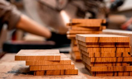 WoodFlow Análise: Exportações de madeira caem em 2023
