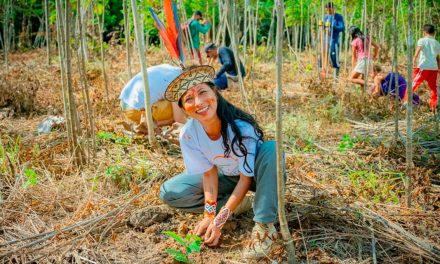 Com foco na agricultura familiar, startup democratiza práticas de regeneração sustentável e compensação de carbono