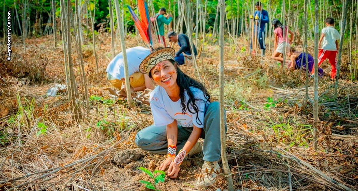 Com foco na agricultura familiar, startup democratiza práticas de regeneração sustentável e compensação de carbono