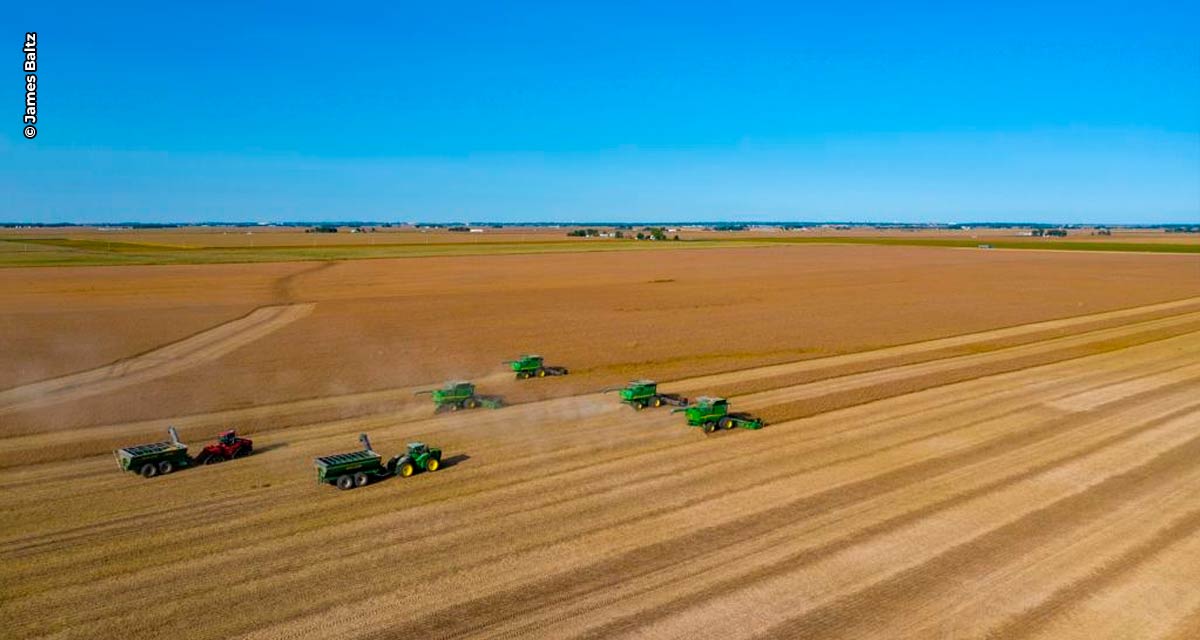 Clima beneficia safra argentina e norte-americana de soja e mantém expectativa de preços pressionados para baixo