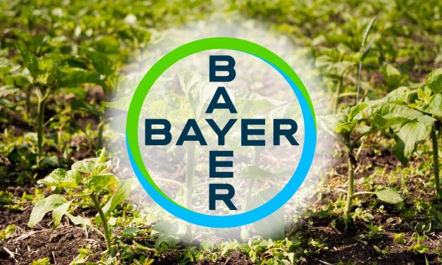 Bayer lançará soluções em herbicidas prevendo aumento futuro de plantas daninhas até 2030