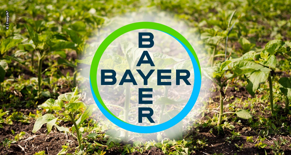 Bayer lançará soluções em herbicidas prevendo aumento futuro de plantas daninhas até 2030