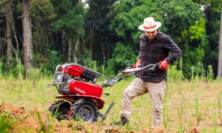 Marca registrada da Branco Motores, motocultivador Tratorito completa 40 anos como referência no agro