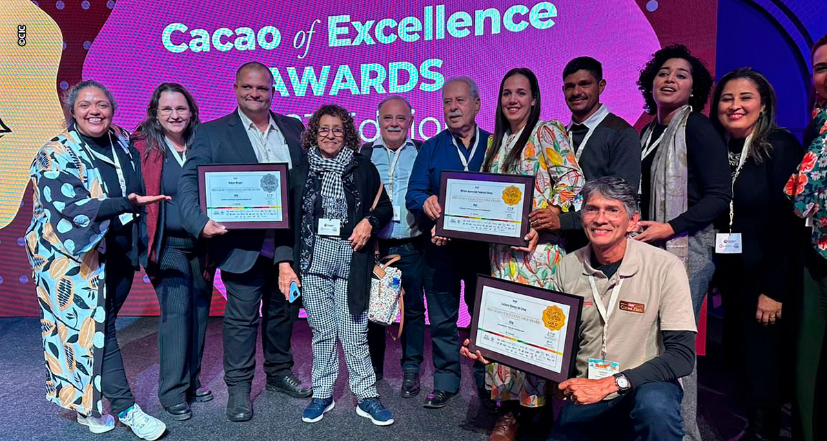 Amêndoas de cacau da Bahia e do Pará estão entre as melhores do mundo