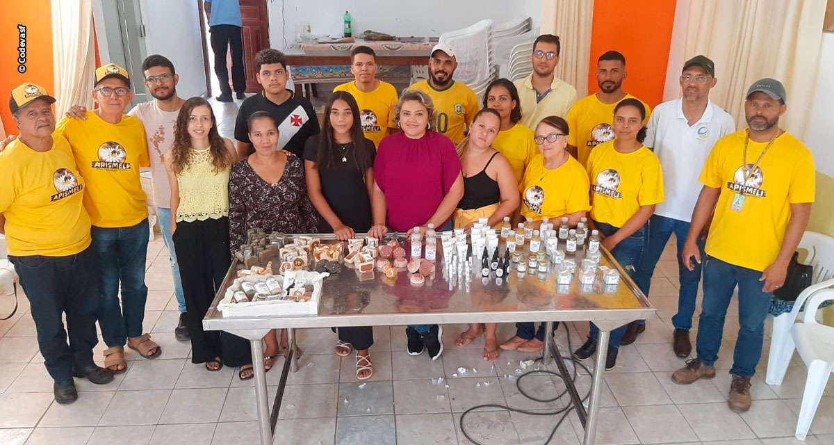 Apicultores capacitados para produzir cosméticos à base de mel, própolis e cera de abelha ganham nova fonte de renda