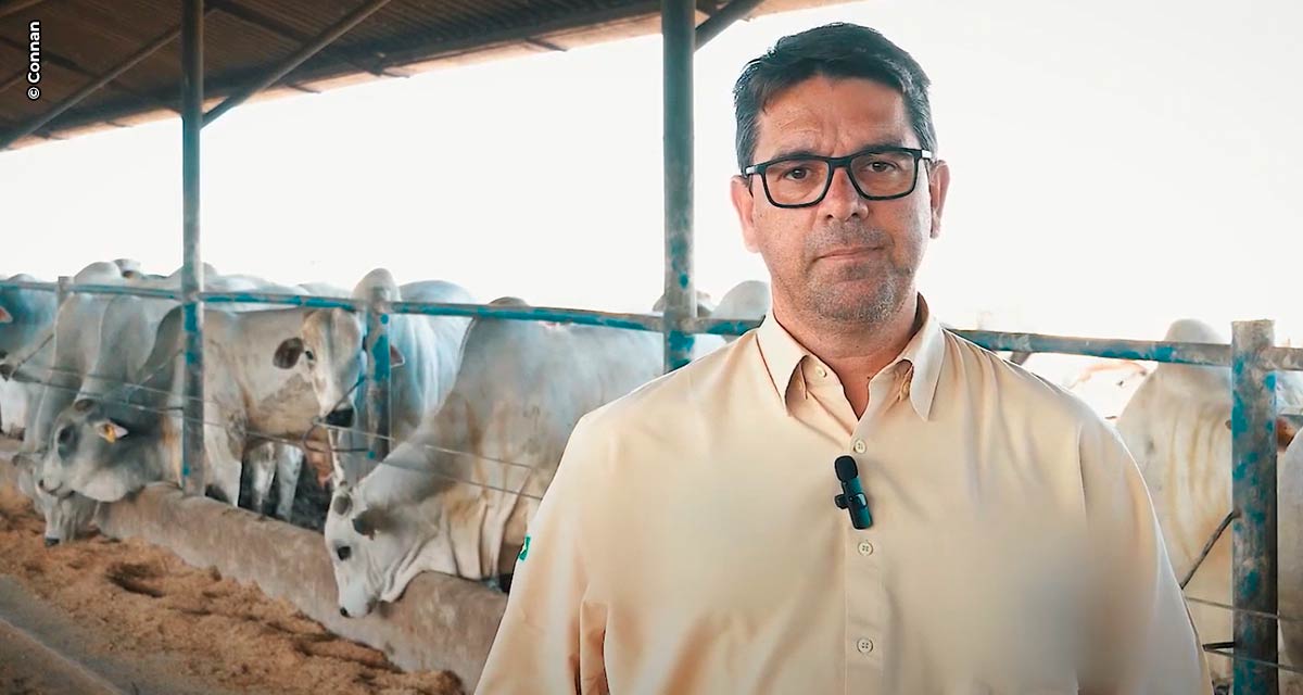 Paixão pela pecuária faz do setor uma atividade com boas histórias