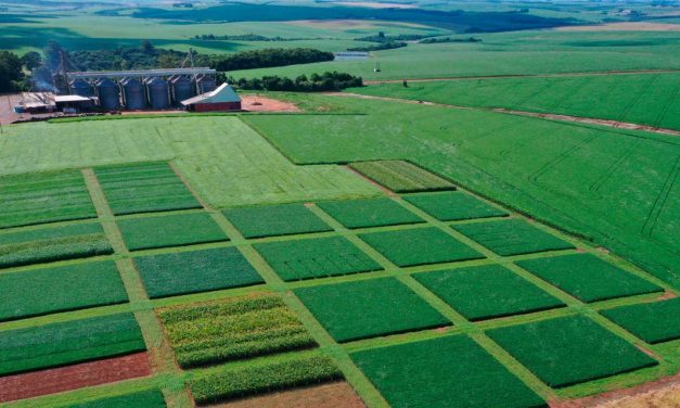 Coonecta Agro Cotribá promove a conexão entre inovação e agricultura