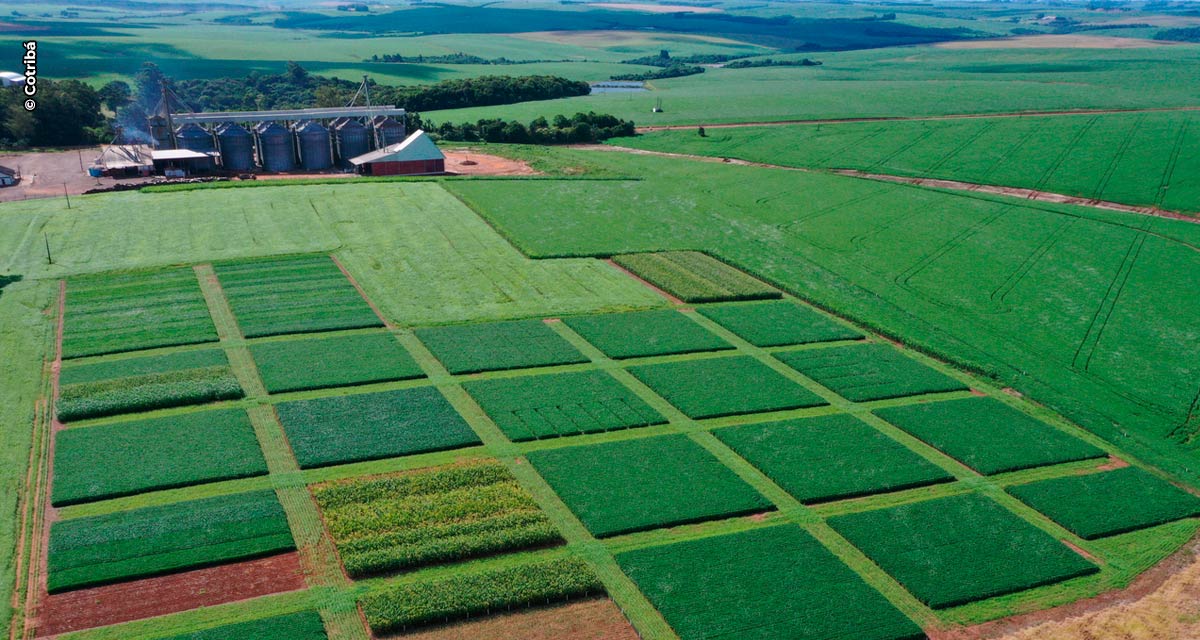 Coonecta Agro Cotribá promove a conexão entre inovação e agricultura
