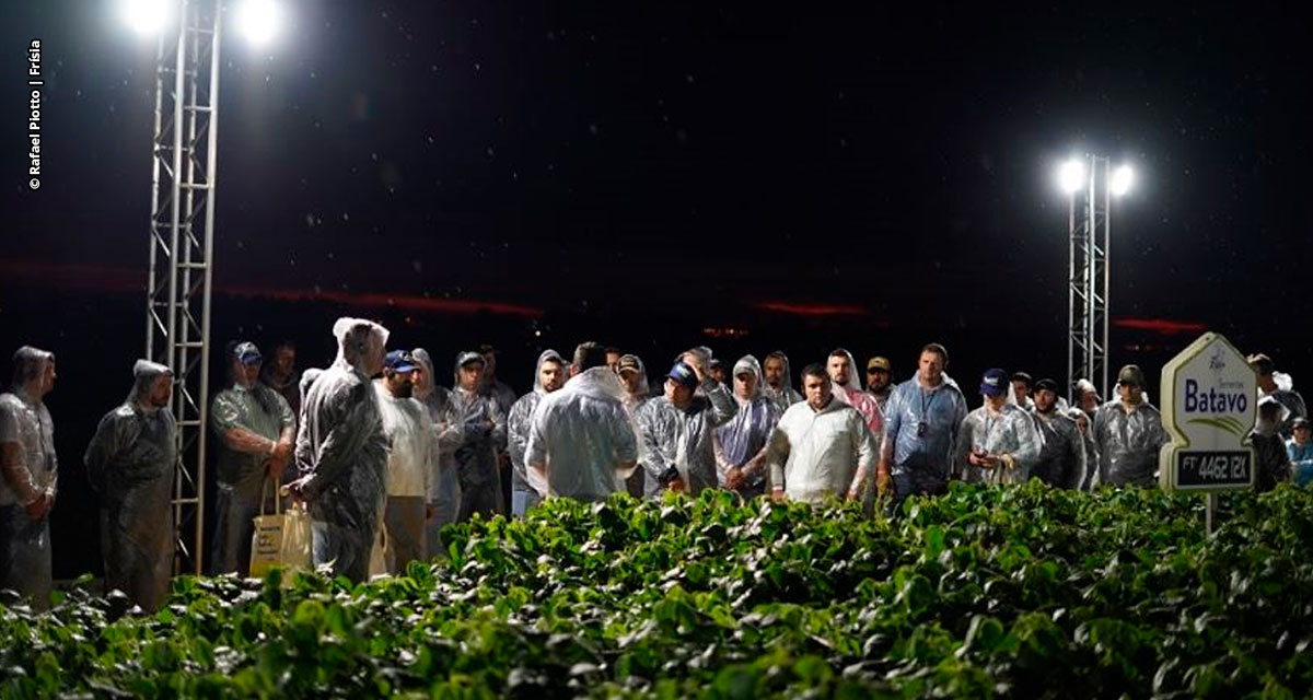 Sementes Batavo, da Frísia, apresenta as principais cultivares das maiores obtentoras de soja do Brasil