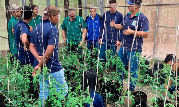 Última chamada para as 12 vagas remanescentes gratuitas no curso técnico em Agropecuária no interior de São Paulo