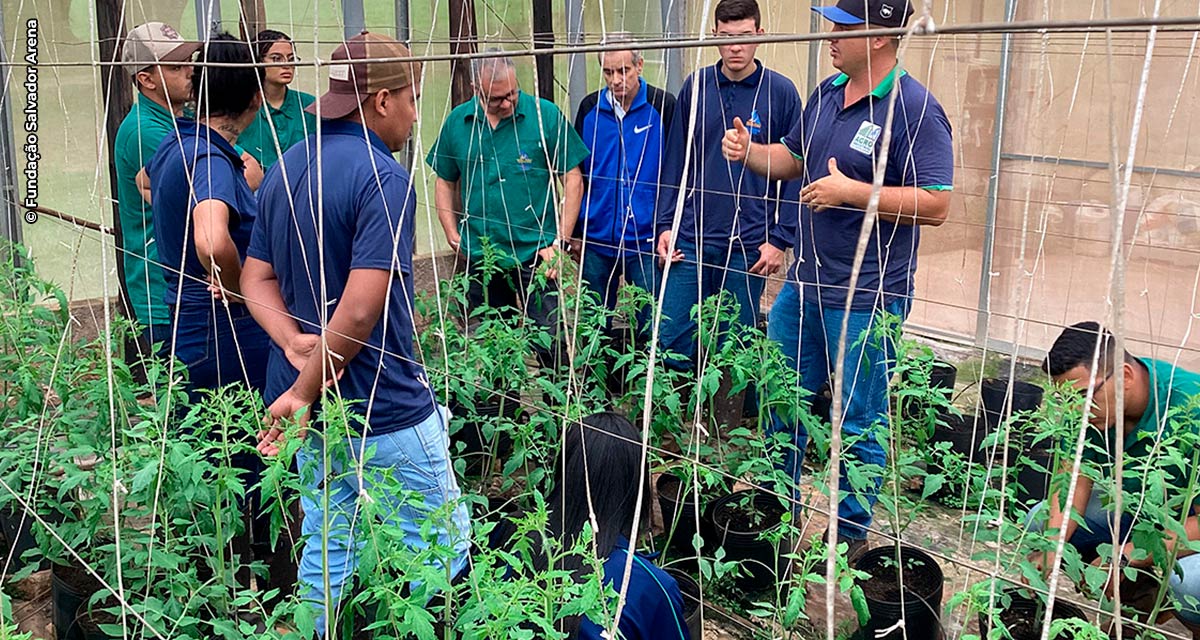 Última chamada para as 12 vagas remanescentes gratuitas no curso técnico em Agropecuária no interior de São Paulo