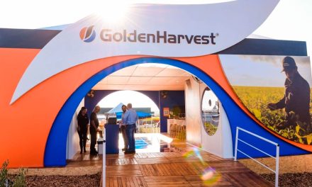 Golden Harvest participa da Show Rural com lançamentos em cultivares de soja