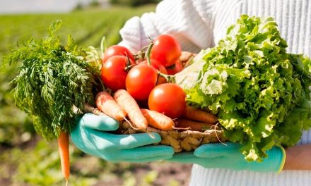 ‘Guia para Avaliação de Práticas para o Comércio Justo de Alimentos Agroecológicos’ traz conteúdo para orientar organizações sobre suas atividades