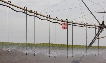 Altas temperaturas exigem mudanças no manejo da irrigação com pivô