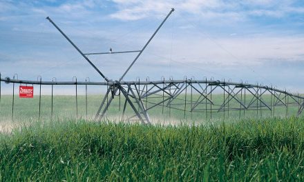 Manejo adequado da irrigação pode ampliar vida útil do canavial