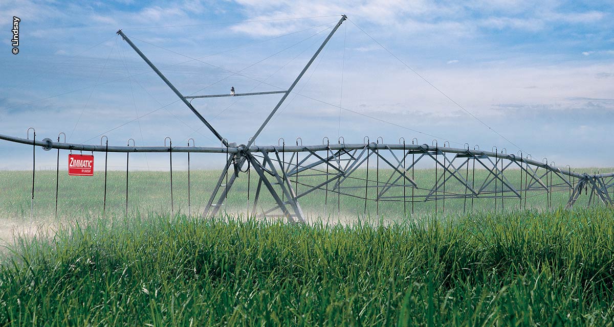 Manejo adequado da irrigação pode ampliar vida útil do canavial