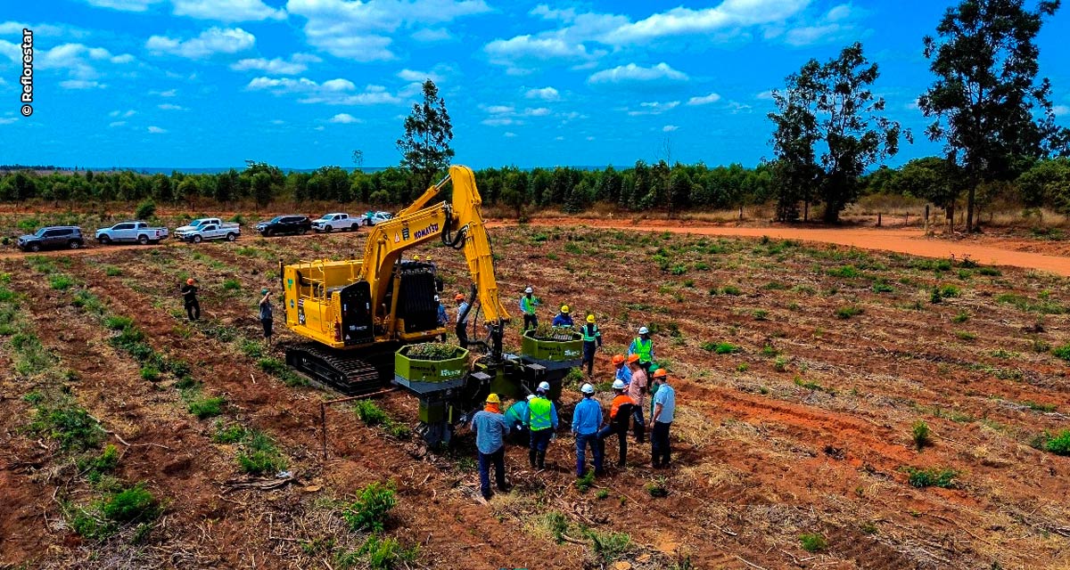 Mecanização é o caminho para a produtividade  na silvicultura, afirma especialista da Reflorestar