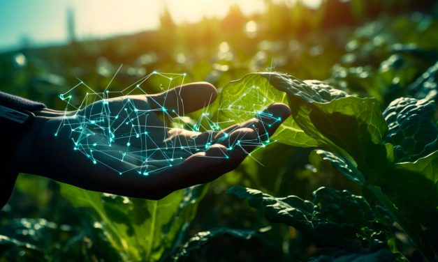 Tecnologia e inovação no agronegócio: conheça as tendências para o setor em 2024