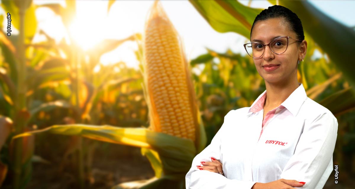 Estiagem e calor extremo exigem planejamento com soluções nutricionais para garantir produtividade no milho safrinha