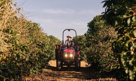 Até 100 cavalos: tratores compactos são os destaques da YANMAR para a Expodireto Cotrijal 2024