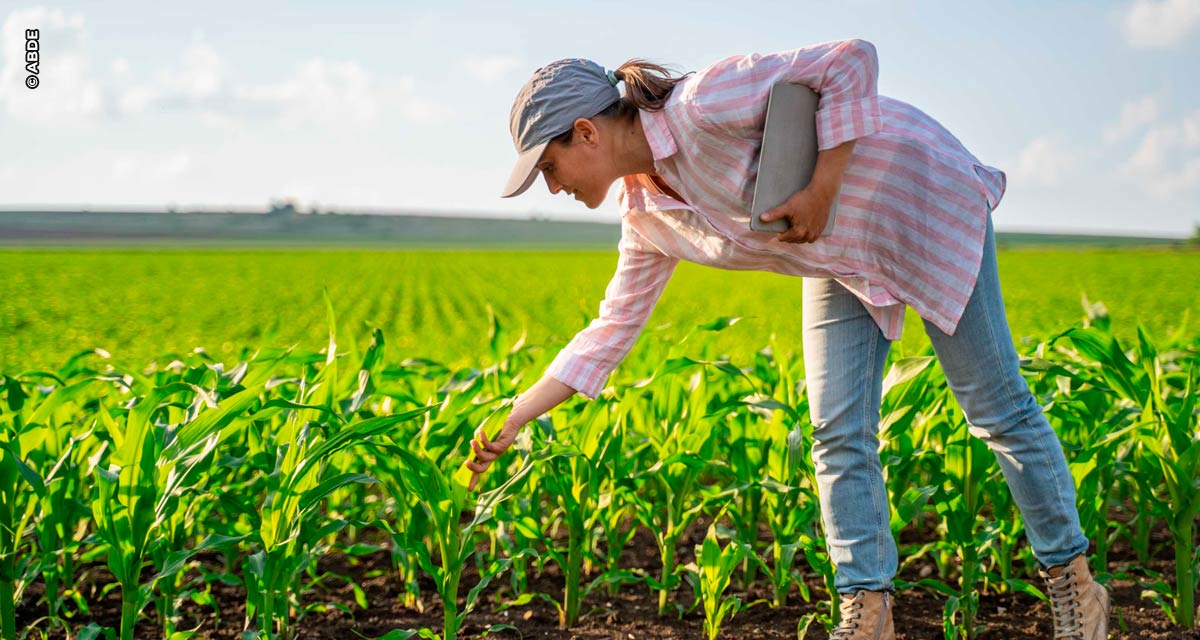 Sistema Nacional de Fomento amplia crédito agropecuário para as mulheres; valor chega a quase R$ 50 bilhões