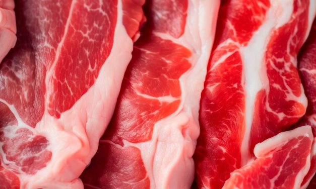 Exportações de carne suína acumulam alta de 17,6% neste ano