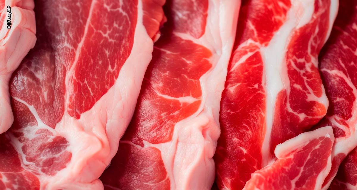 Exportações de carne suína acumulam alta de 17,6% neste ano