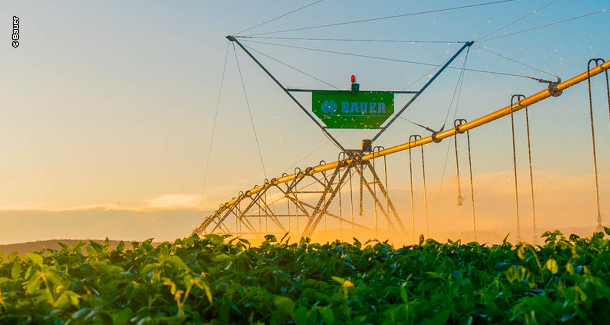 Bauer do Brasil anuncia expansão para mercado da América do Sul