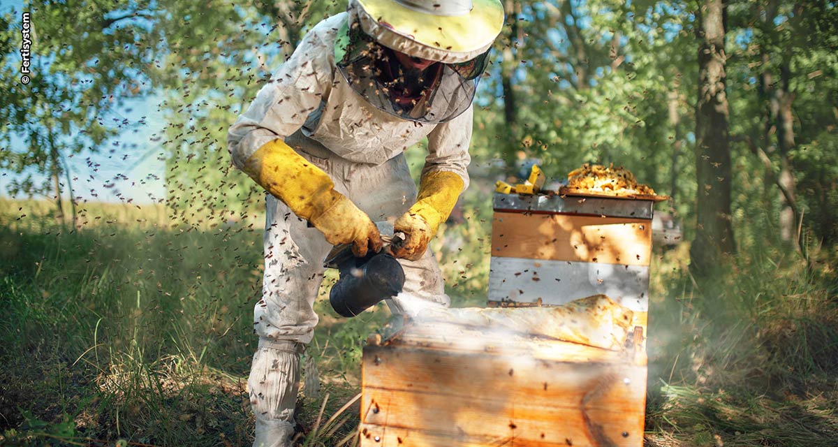 Projeto de polinização alia biodiversidade a agricultura sustentável