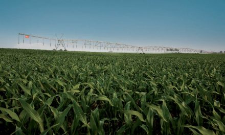 Rio Grande do Sul almeja aumentar a área irrigada em 100 mil hectares