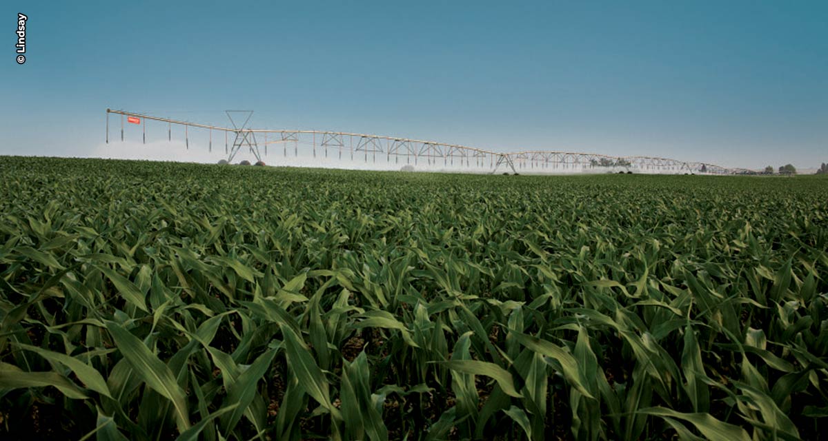 Rio Grande do Sul almeja aumentar a área irrigada em 100 mil hectares