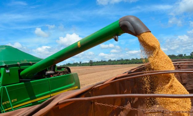 Com previsão de safra menor, produtores enfrentam o desafio de maximizar a qualidade de grãos