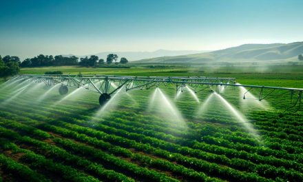 PLANO DE IRRIGAÇÃO: Secretaria de Agricultura quer dobrar áreas irrigadas de SP em quatro anos