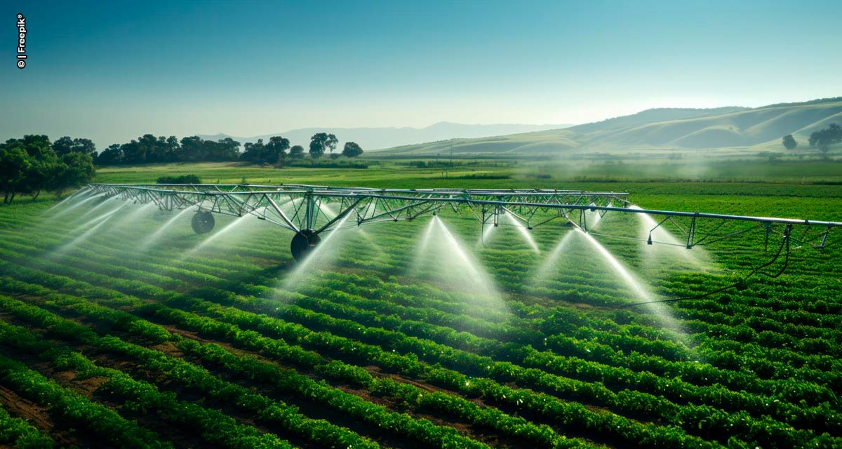 PLANO DE IRRIGAÇÃO: Secretaria de Agricultura quer dobrar áreas irrigadas de SP em quatro anos