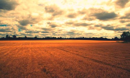 Como as mudanças climáticas afetam práticas agrícolas