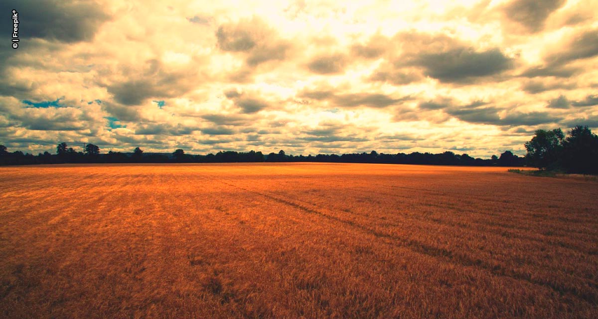 Como as mudanças climáticas afetam práticas agrícolas