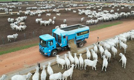 Feiras em MT levam tecnologias ao pecuarista com foco em eficiência