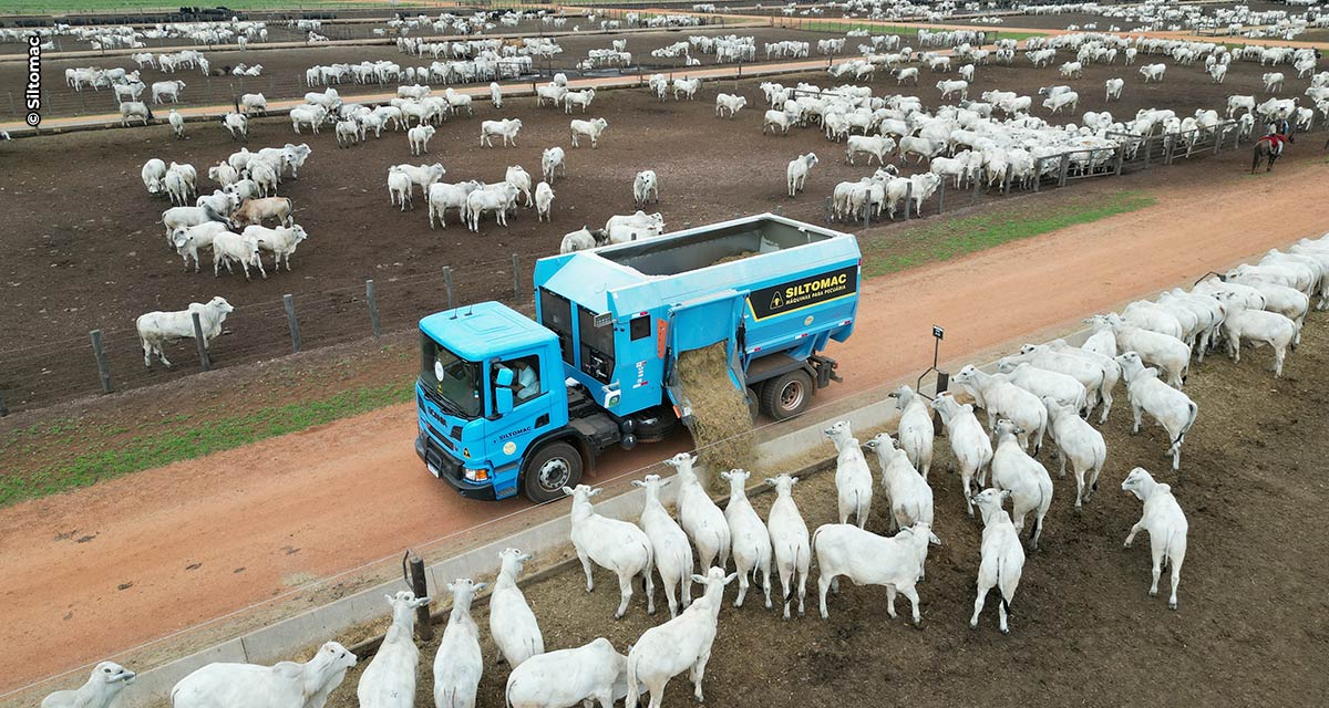 Feiras em MT levam tecnologias ao pecuarista com foco em eficiência